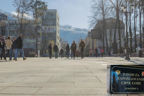 karadağ işsizlik rakamları