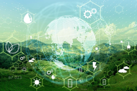 karadağ yeşil dönüşüm destekleri