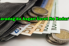 montenegro asgari ücret ne kadar