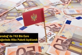 montenegro ticaret hibe