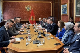 dusko stjepovic - fuat oktay