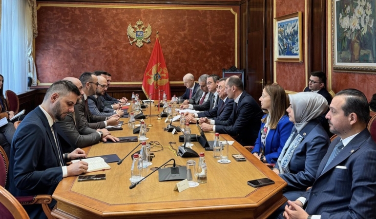 dusko stjepovic - fuat oktay