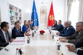 fuat oktay - andriya mandic