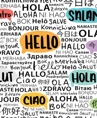 karadağlılar ingilizce biliyor mu