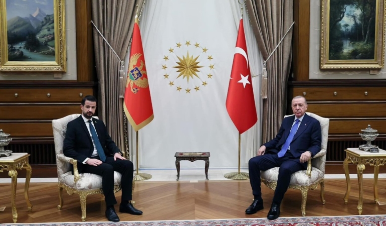 erdoğan milatovic görüşmesi