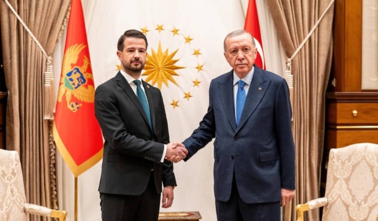 milatovic-erdoğan müttefik
