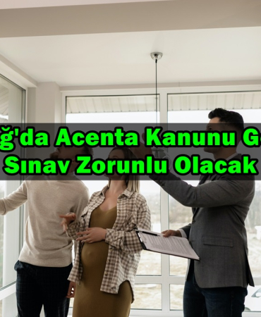 montenegro emlakçılık