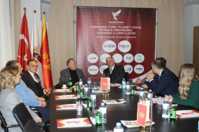 turkcham bakan yazgan