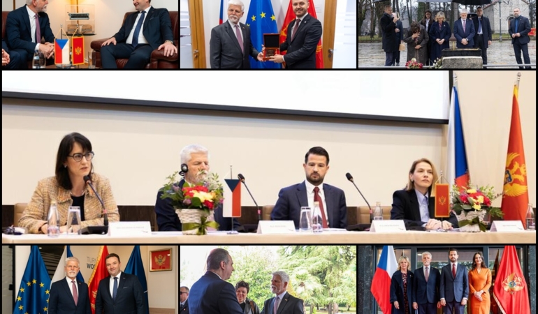 çek cumhuriyeti Cumhurbaşkanı Petr Pavel