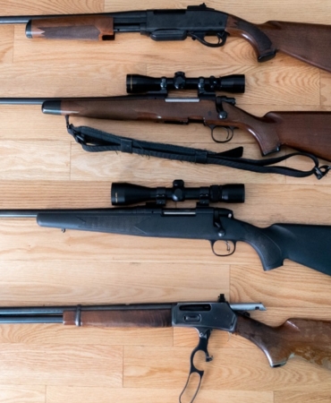 karadağ silah sayısı