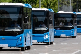 montenegro toplu taşıma