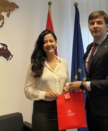 azemovic - süslüoğlu