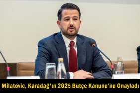jakov milatovic bütçe