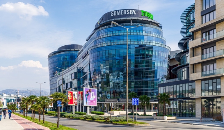 montenegro şirket sayısı