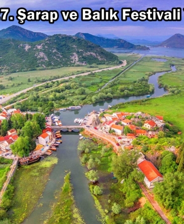 virpazar şarap ve balık festivali