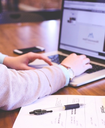 avrupa edevlet kullanım oranı