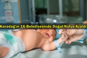 karadağ doğum oranları