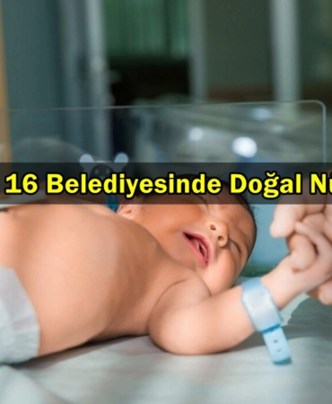 karadağ doğum oranları