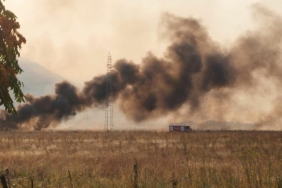karadağ orman yakma cezası