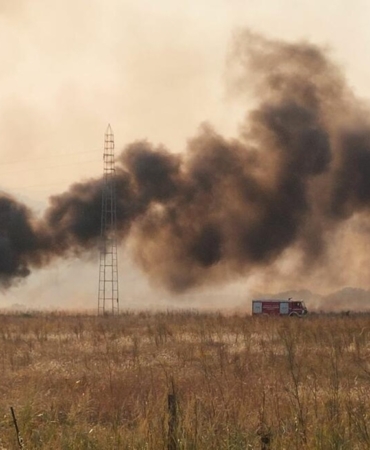karadağ orman yakma cezası
