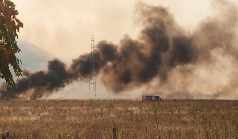 karadağ orman yakma cezası