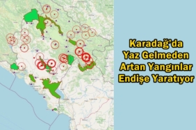 karadağ orman yangınları