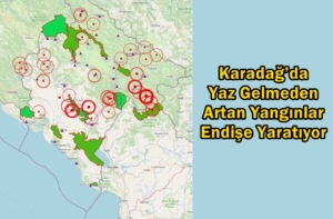 karadağ orman yangınları