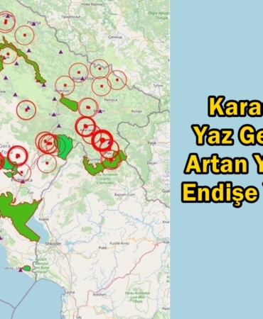 karadağ orman yangınları