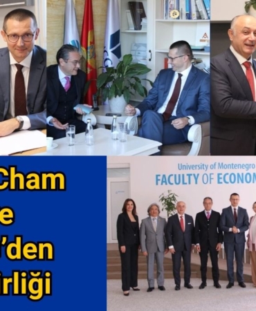 turkcham ve montenegro üniversitesi