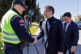 aleksa becic - karadağ