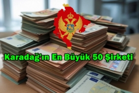montenegro en büyük 50 şirketi