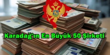 montenegro en büyük 50 şirketi