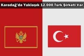 karadağda kaç türk şirketi var