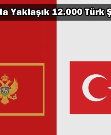 karadağda kaç türk şirketi var