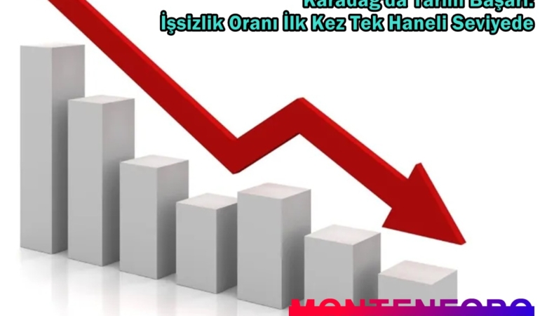 karadağ işsizlik verileri