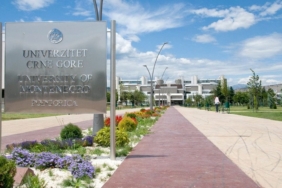 karadağ üniversitesi kontenjan