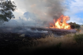 karadağda yangın can aldı