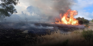 karadağda yangın can aldı