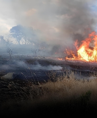 karadağda yangın can aldı
