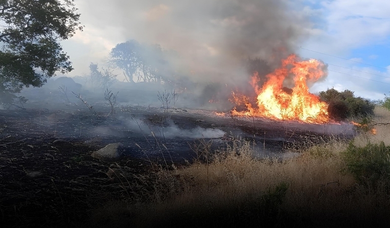 karadağda yangın can aldı