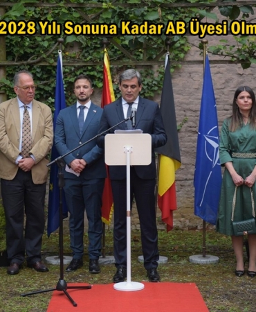 ervin ibrahimovic - avrupa birliği