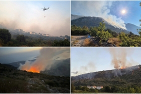 karadağ orman yangınları