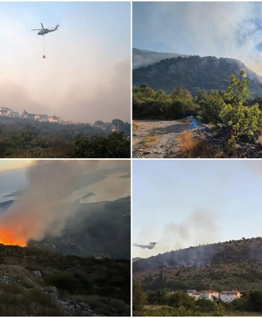 karadağ orman yangınları