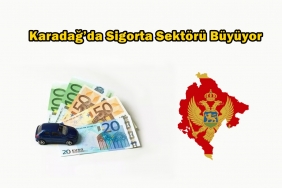 montenegro sigorta sektörü