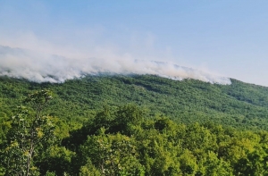 niksic orman yangını