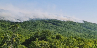 niksic orman yangını