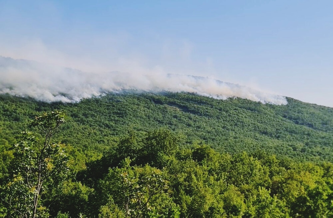 niksic orman yangını