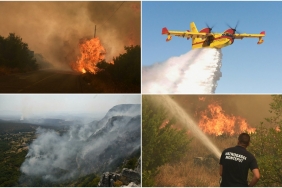 montenegro orman yangınları