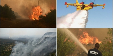 montenegro orman yangınları
