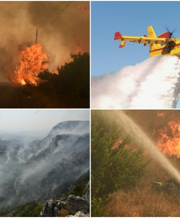 montenegro orman yangınları